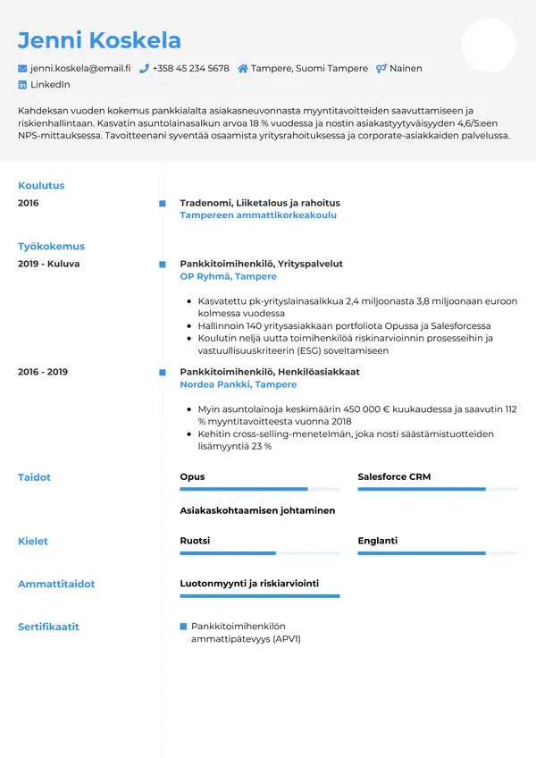 CV template Tyyli 2