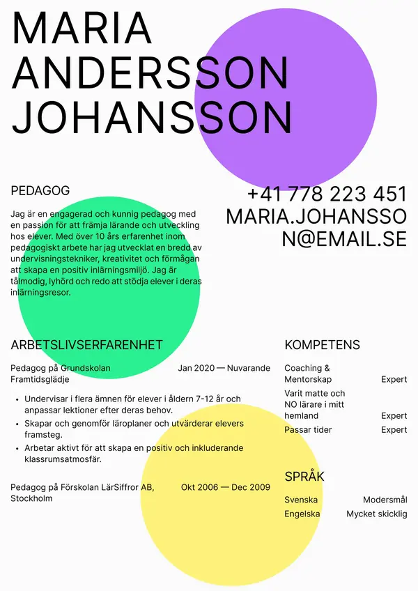 Pedagog CV-pohja — Tyyli 8