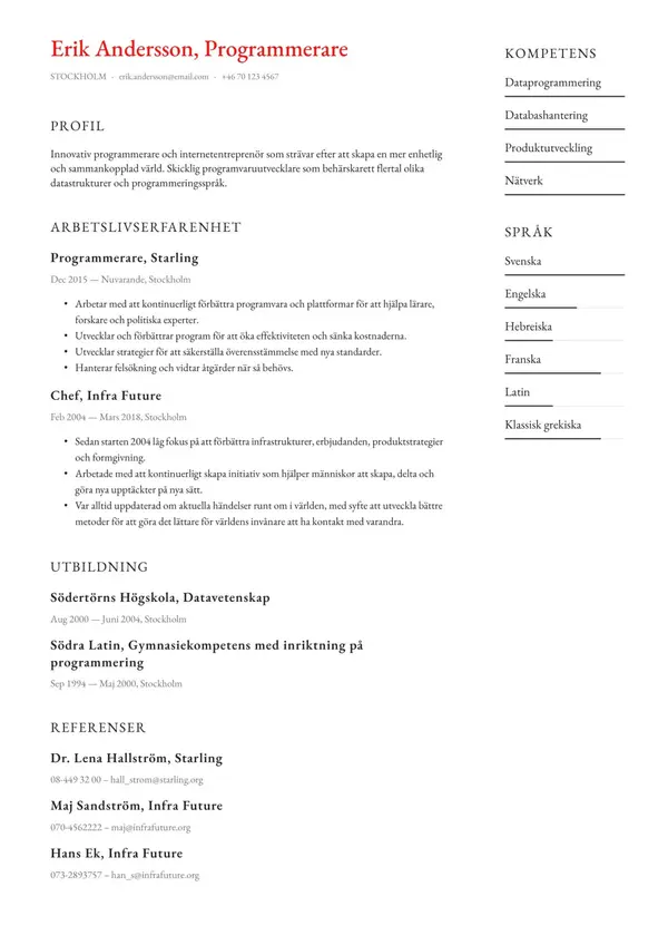 Programmerare CV-pohja — Tyyli 10