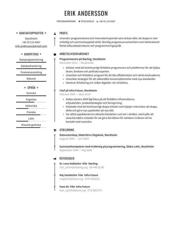 Programmerare CV-pohja — Tyyli 3