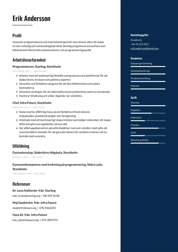 Programmerare CV-pohja — Tyyli 4