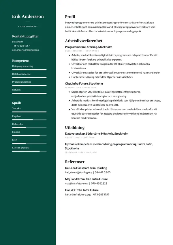 Programmerare CV-pohja — Tyyli 5