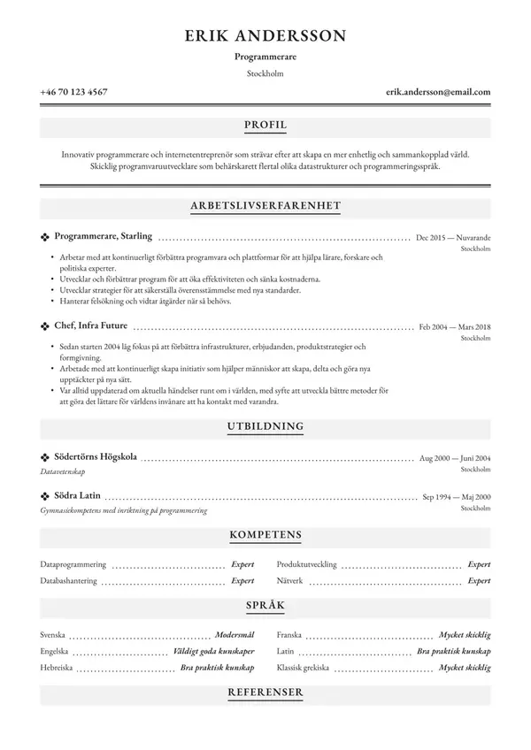 Programmerare CV-pohja — Tyyli 7