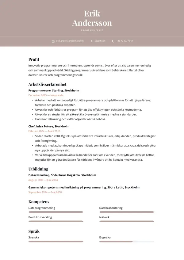 Programmerare CV-pohja — Tyyli 8