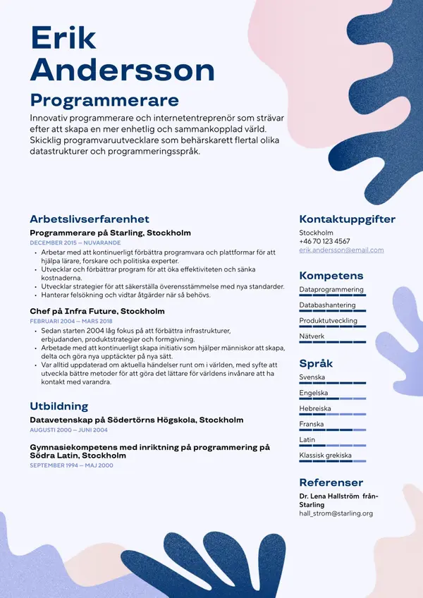 Programmerare CV-pohja — Tyyli 9