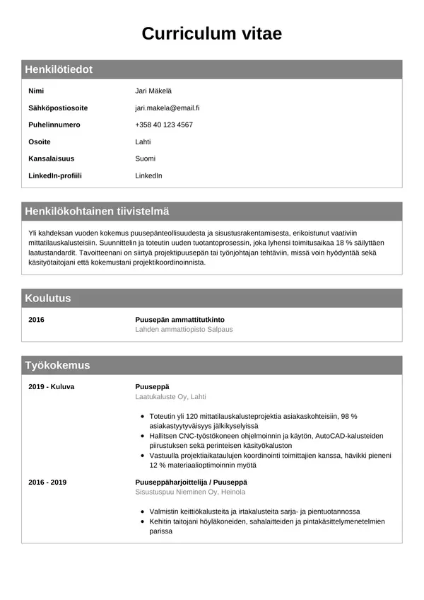 CV-pohja — Tyyli 7