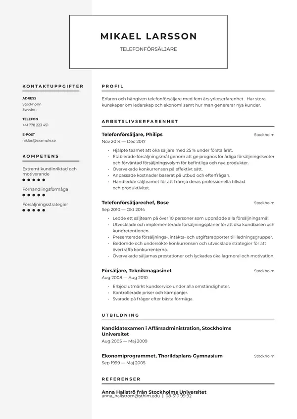Saljare CV-pohja — Tyyli 2