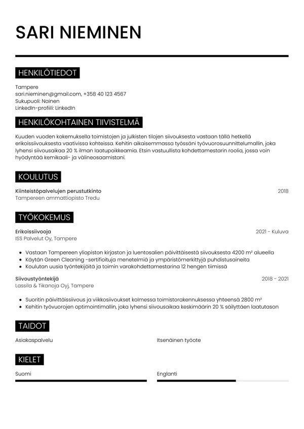 CV-pohja — Tyyli 11