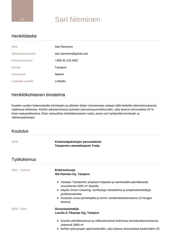CV-pohja — Tyyli 6