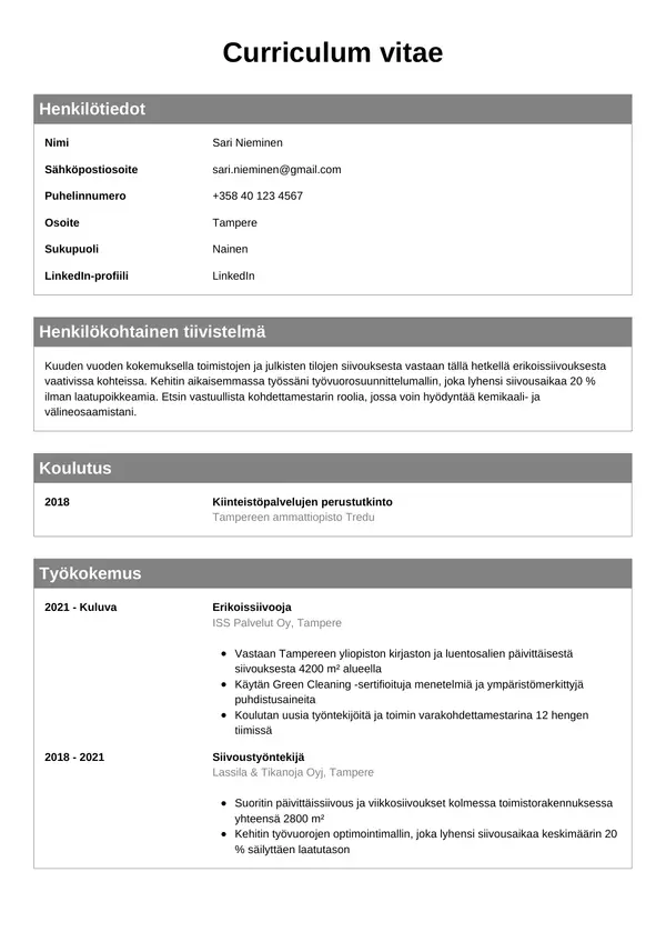 CV-pohja — Tyyli 7