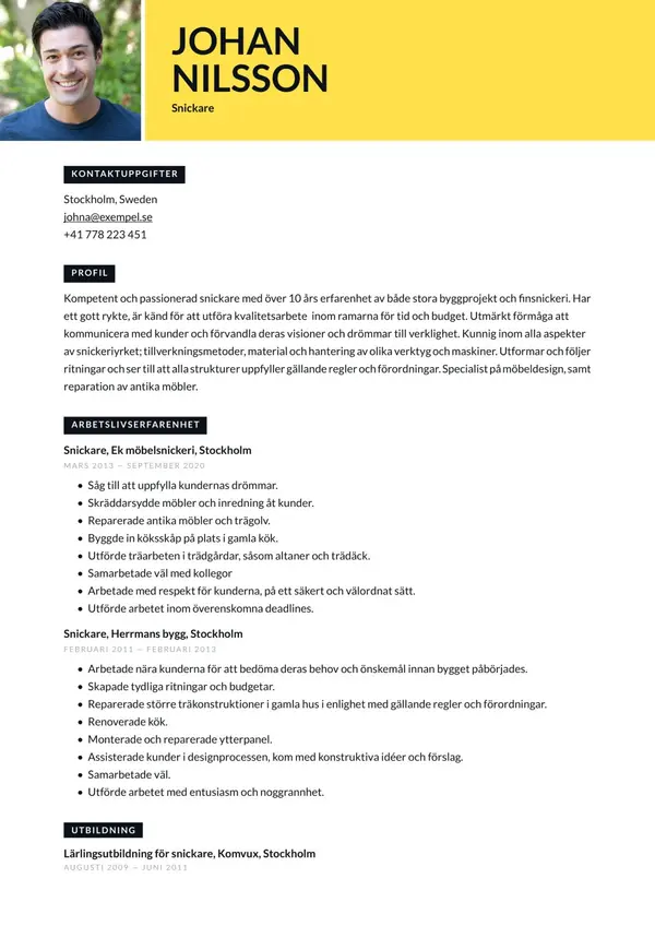 Snickare CV-pohja — Tyyli 6