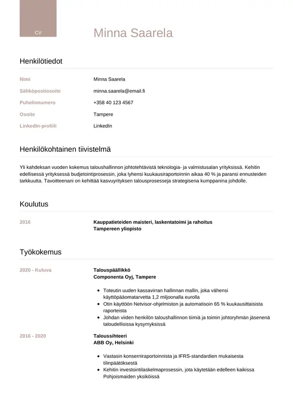 Talouspaallikko CV-pohja — Tyyli 6