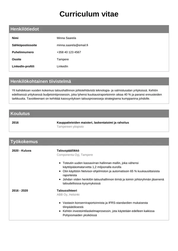 Talouspaallikko CV-pohja — Tyyli 7