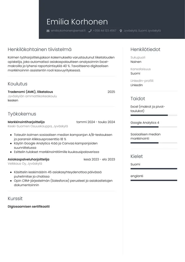 CV-pohja — Tyyli 1