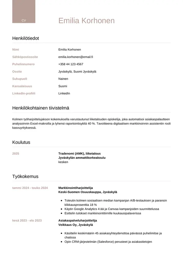 CV-pohja — Tyyli 6