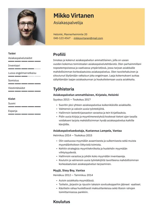 Vienna CV-pohja — Tyyli 2