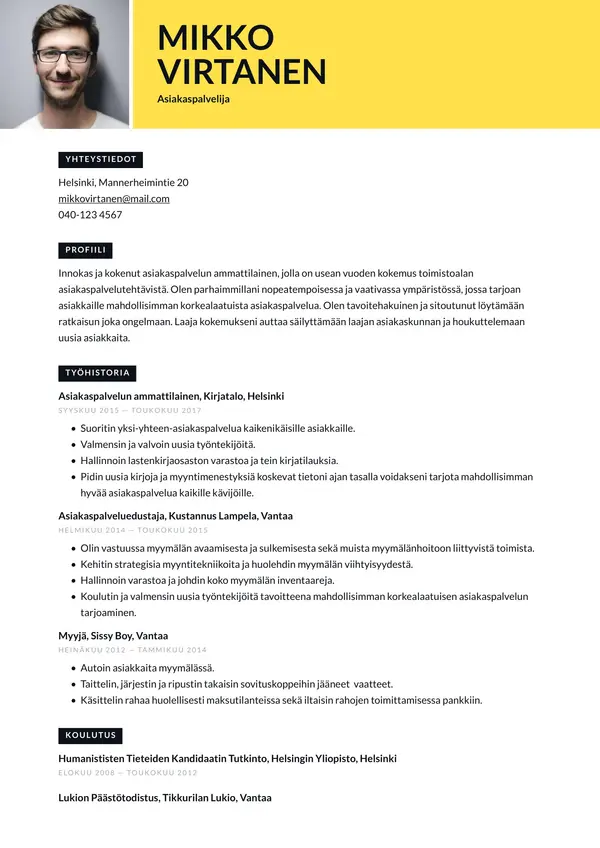 Vienna CV-pohja — Tyyli 1