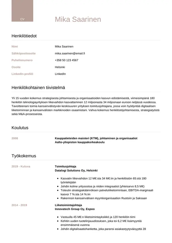 CV-pohja — Tyyli 6