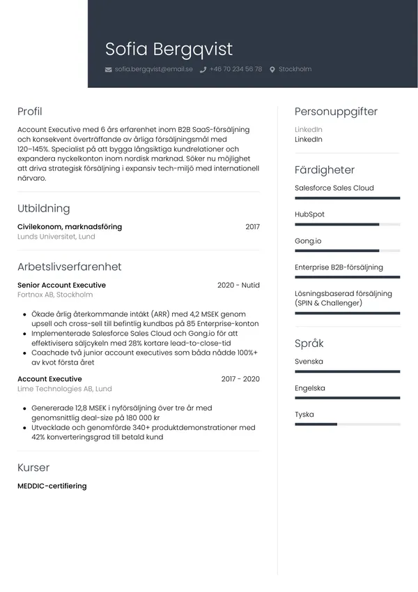 CV template Ammattimainen