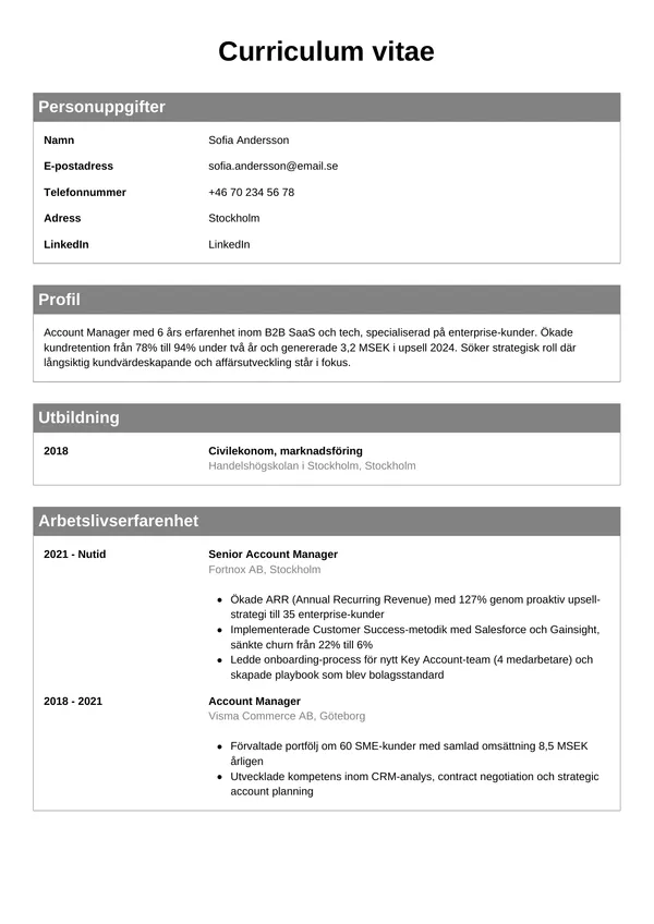 CV template Klassinen