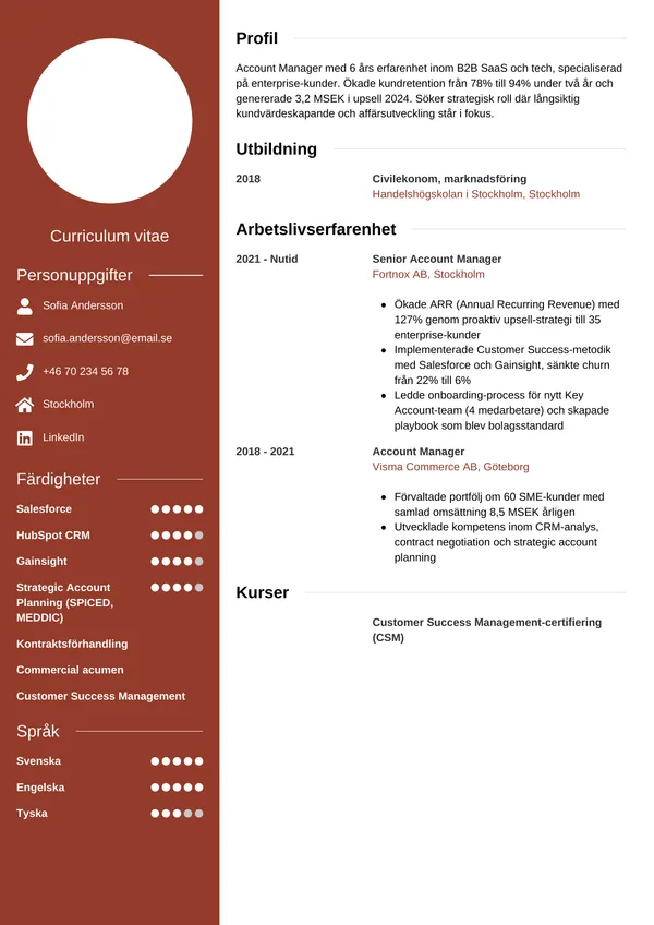 CV template Moderni