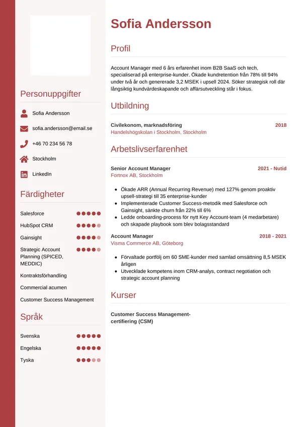 CV template Pystysuora