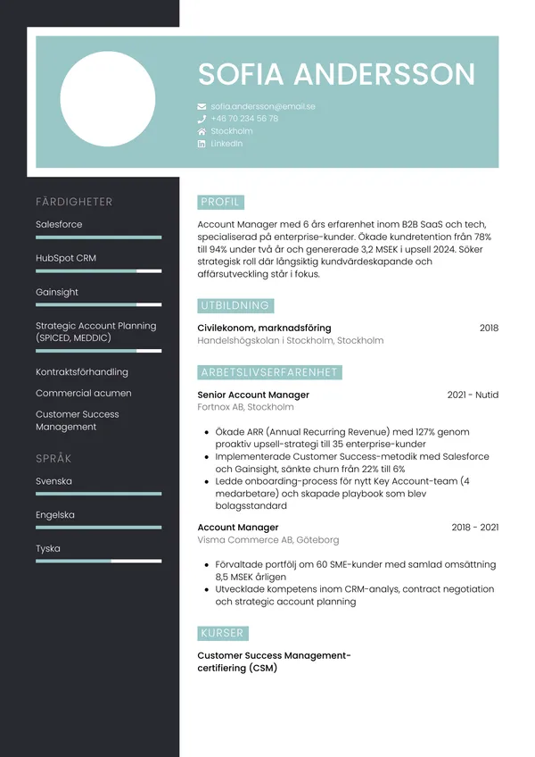 CV template Tyylikäs