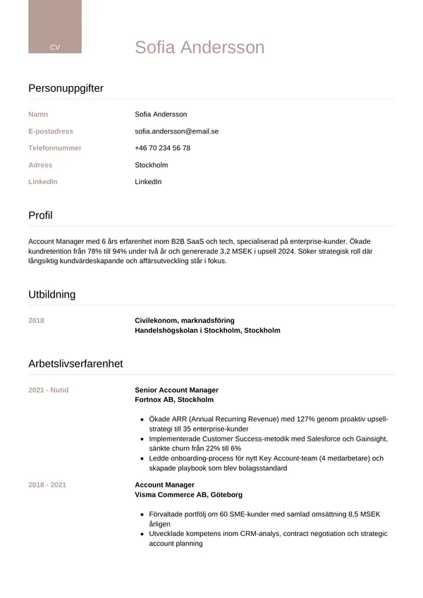 CV template Luksus